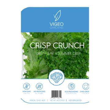 CRISP CRUNCH SALAD