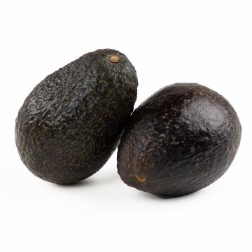 Ripe Avocados