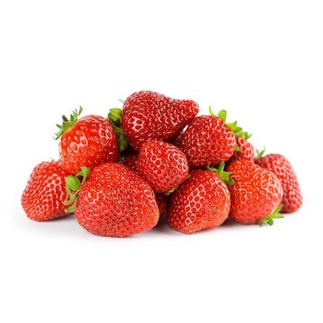 Premium Strawberries