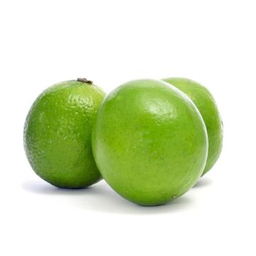 Limes