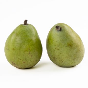 Pears