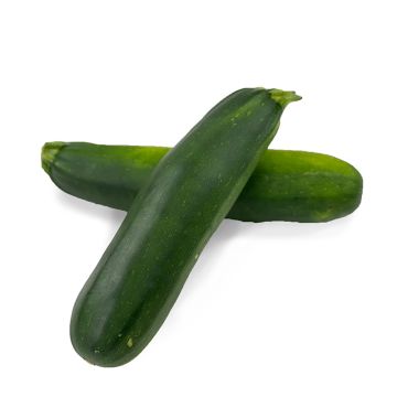 Two XL Zucchini