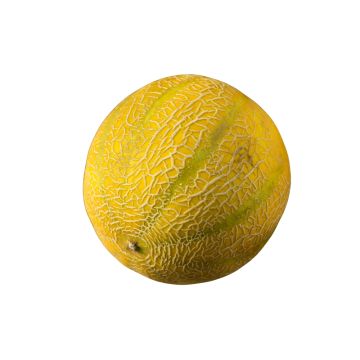 LEMON DROP MELONS