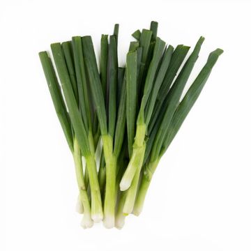 Green Onions