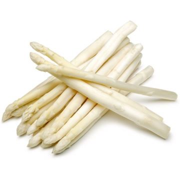 White Asparagus