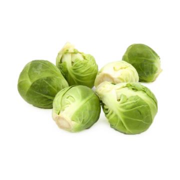 Brussels Sprouts
