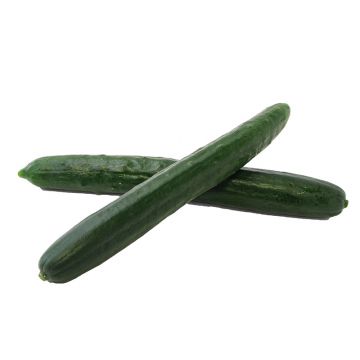 Seedless English Cucumbers