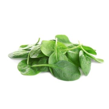 Baby Spinach