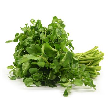 Watercress Lettuce