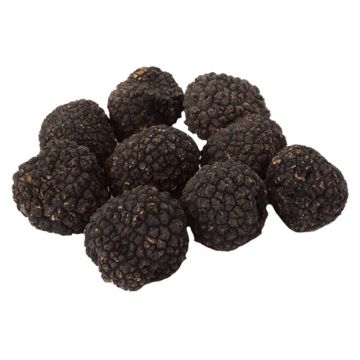 Burgundy Truffle