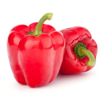 Red Peppers