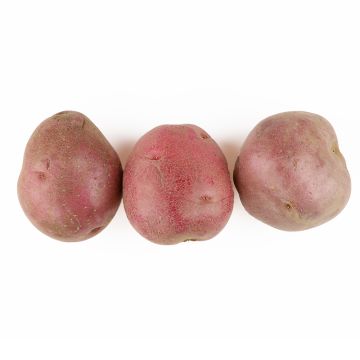 A-Size Red Potatoes