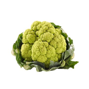 Green Cauliflower