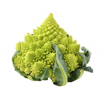 Romanesco