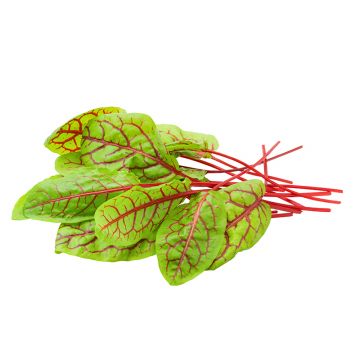 Red Vein Sorrel - Local