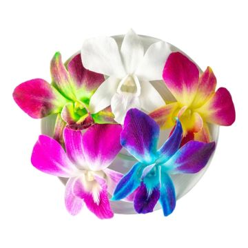 Edible Orchid