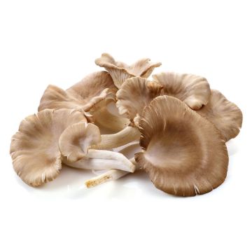 Sliced Oyster Mushrooms