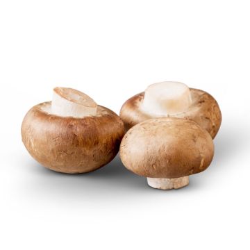 Baby Bella Mushroom - Retail