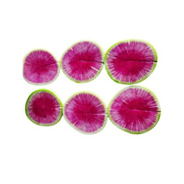 Watermelon Radish Coins