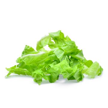 Chopped Romaine Lettuce
