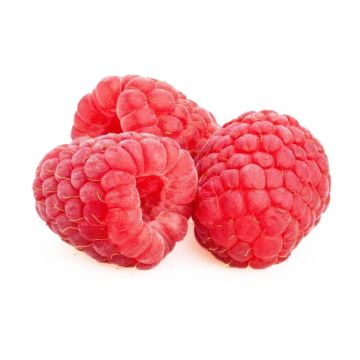 Three Red Raspberries