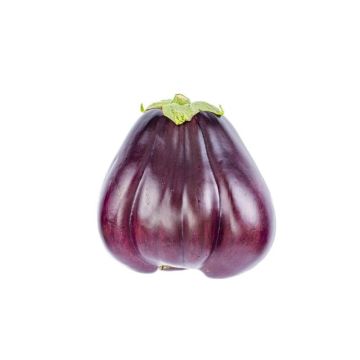 Indian Eggplant