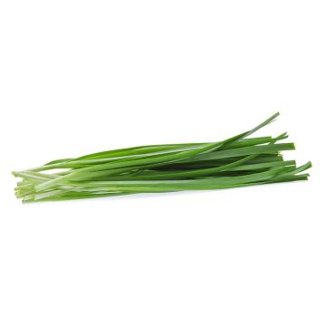 Organic Chives