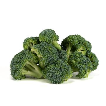 Broccoli Florets