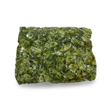 Bag of Brussels Chips
