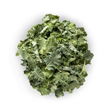 Organic Baby Green Kale
