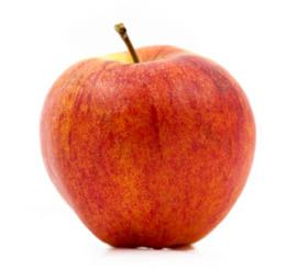 Fuji Apple