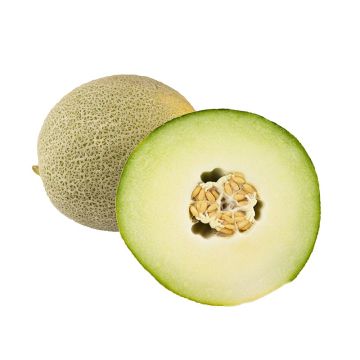 Sliced Galia Melon
