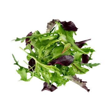 Great Lakes Growers Logo