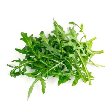Pile of Wild Baby Arugula