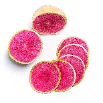 watermelon radish